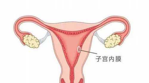 上海个人需要代孕妈妈,上海助孕公司有哪些，上海哪里可以做试管