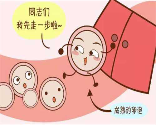 上海代孕宝宝套餐,上海一妇婴试管成功率怎么样？要注意什么？