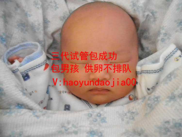 上海在找女的代孕多少钱_73929_2217C_o型血是不是不可能携带地贫？ab血型更容易